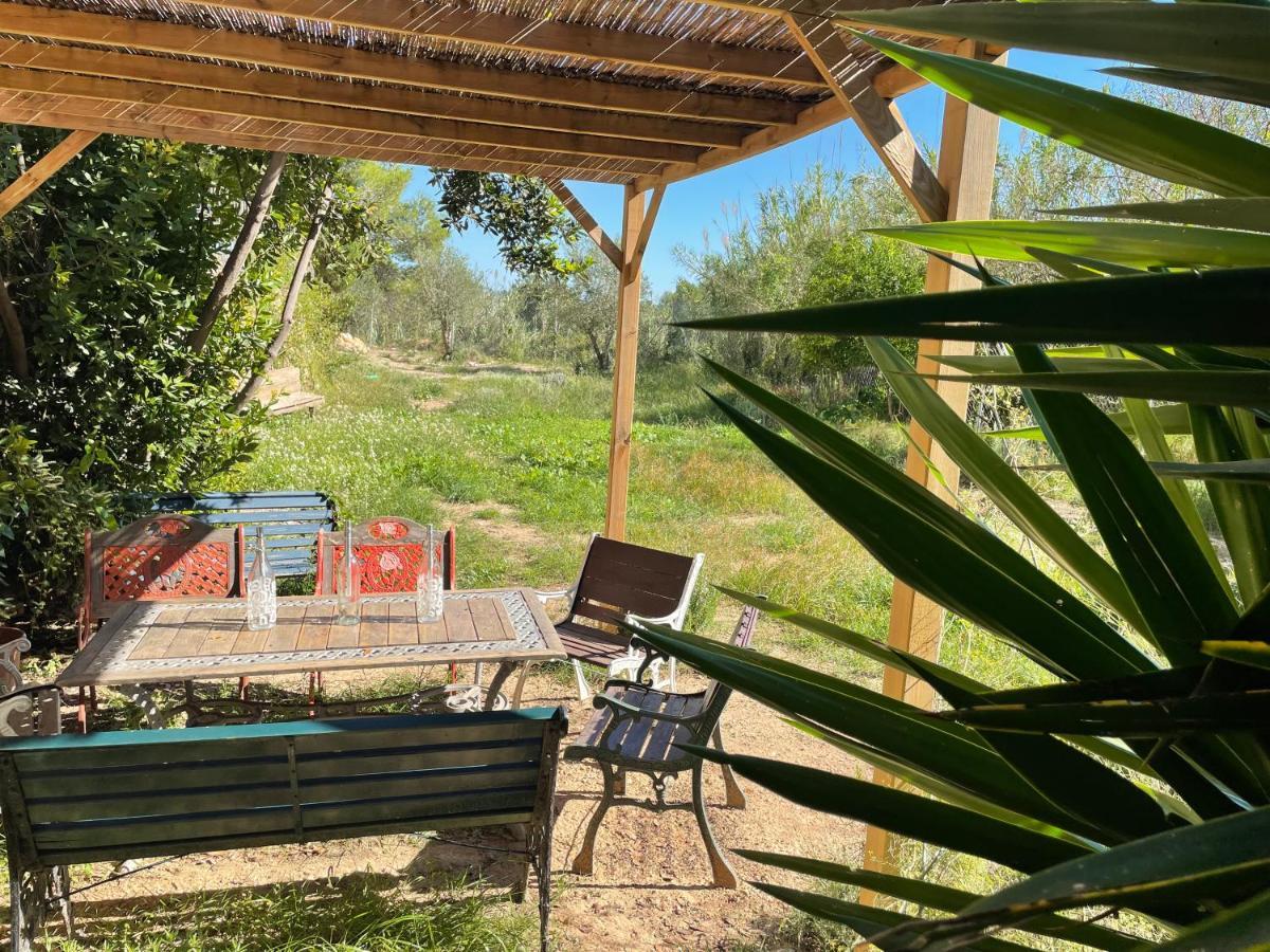Casa Rural Con Jardin,A 8Km Playa Y En La Naturaleza Taronja&Canyella Ardenya Extérieur photo